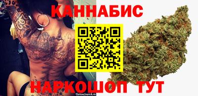 стаф Кулебаки