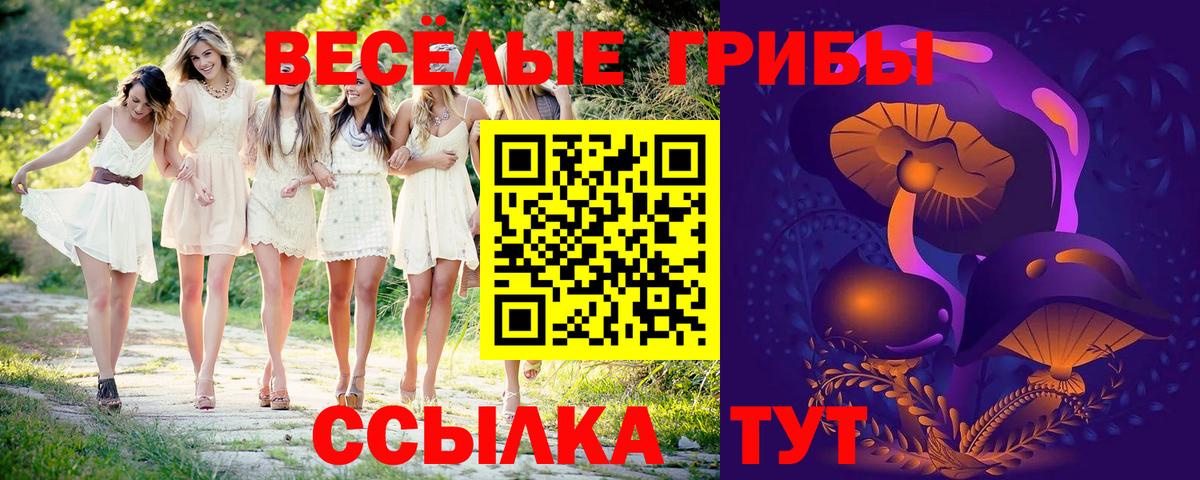 Галлюциногенные грибы мухоморы  Псилоцибиновые грибы GOLDEN TEACHER  Вязьма  Вход с VPN 
